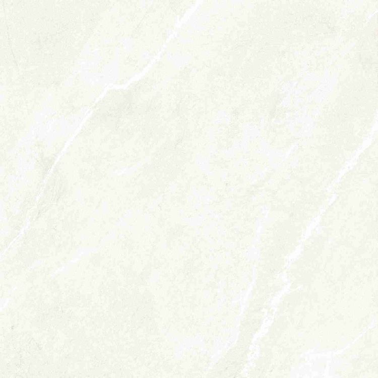 Dhara White Matte 48 x 48